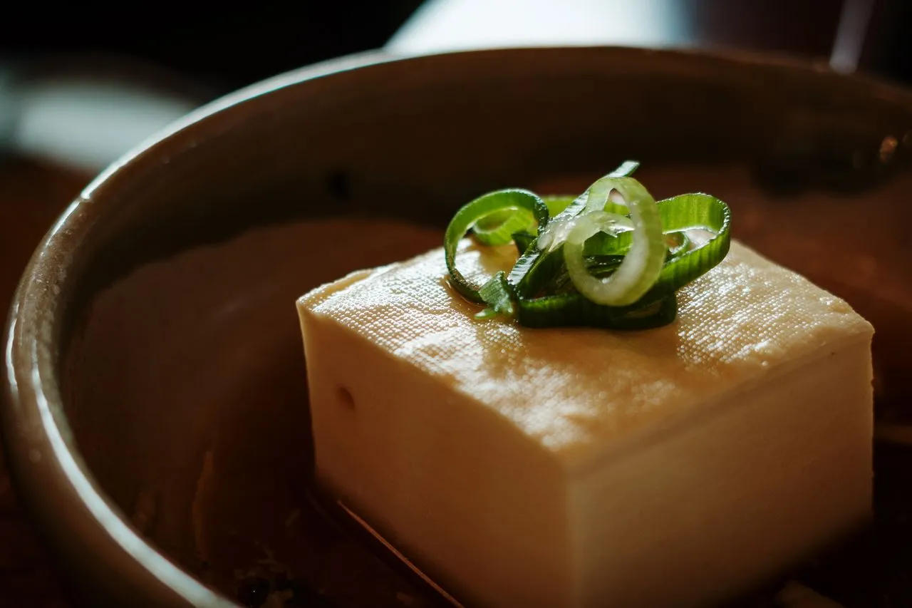 豆腐は冷凍保存できる？どのくらいの期間長持ちする？